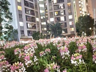 Bán căn hộ chung cư ct16 hồng hà ecocity. yên sở. hà nội