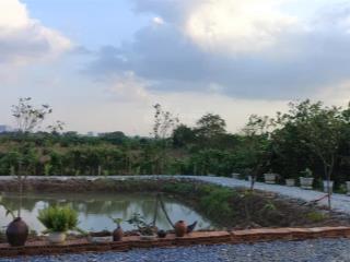 Đất nền và đất dựng xưởng xe oto đi lại bình thường