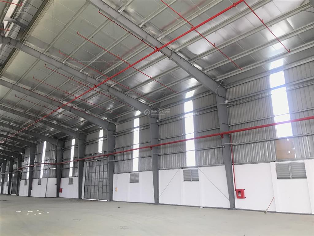 Cho thuê xưởng và showroom mặt ql18, tổng 50.000m2 (đa dạng diện tích)