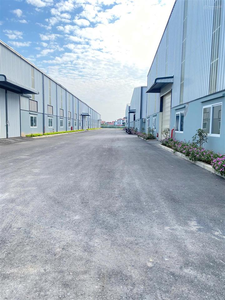 Cho thuê kho xưởng công nghiệp tại kcn tam hiệp, núi thành, quảng nam. dt 40.000 m2 (có chia nhỏ)