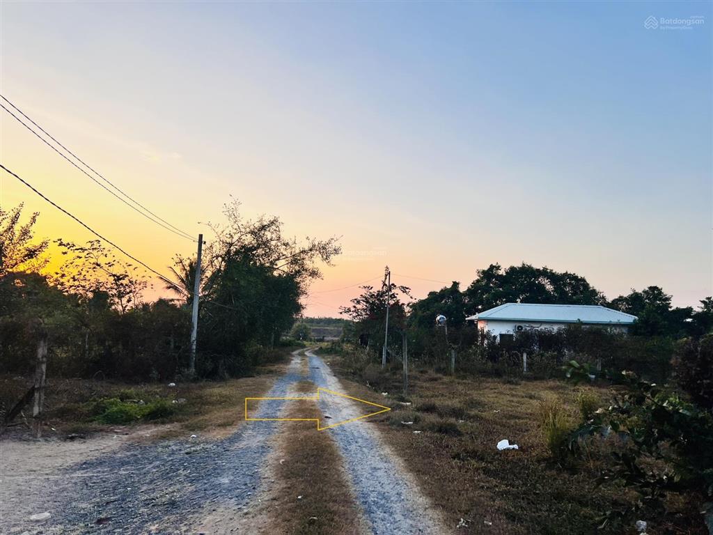 Bán đất 382m² có sẵn 200m² thổ cư ngang 9m giá 1,9 tỷ tại đường số 698 xã thái mỹ