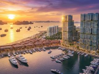 Mở bán quỹ căn giới hạn đầu tiên nhận ưu đãi cực khủng vị trí đẹp và kd tốt nhất hạ long
