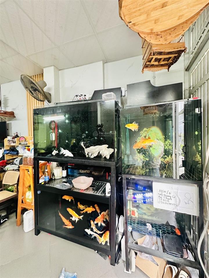 Quận tân phú  nhà 2 tầng trần quang cơ giảm 200 triệu giá mới chỉ 3,3 tỷ