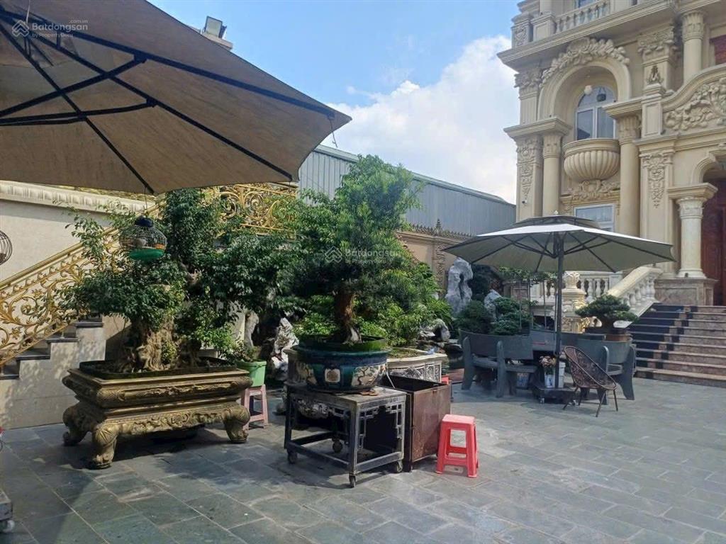 Gấp gấp giảm sâu 10 tỷ biệt thự hoàng gia mặt tiền chiêu liêu dĩ an từ 50 tỷ xuống còn 41ty5