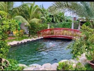 Bán căn villa quy mô và thiết kế siêu đẹp tại tân bình  dĩ an  tphcm  với không gian mát rượi