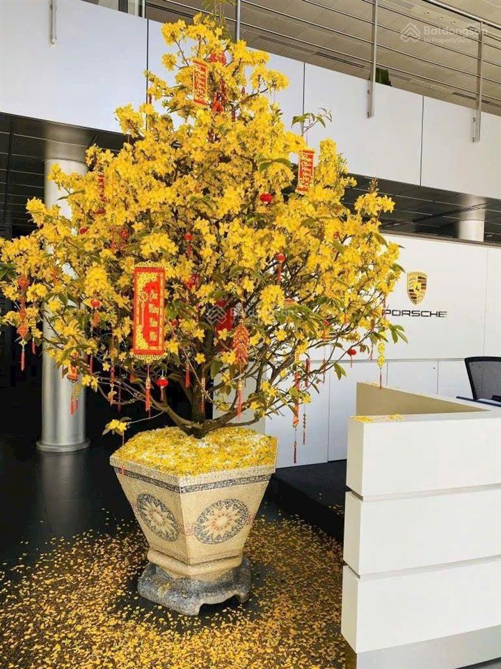 Bán nhà hoàn công, 1 trệt 2 đông hòa dĩ an đặc biệt tặng full nội thất, giá 8ty050 chủ