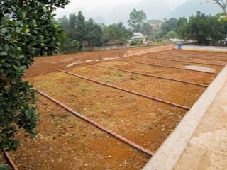 Bán nhanh mảnh 110m2 thổ cư 100%, giá 550tr ngay khu công nghiệp