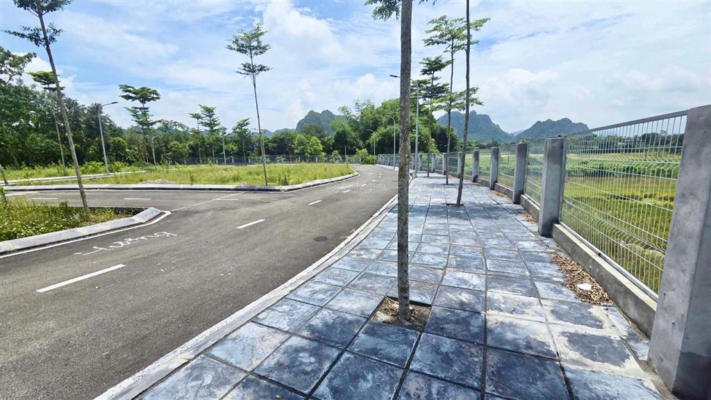 Đừng chỉ tìm đất rẻ  hãy tìm đất có tiềm năng giá chỉ 600 triệu cho 82m² full thổ cư.