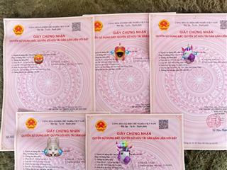 Đất mặt tiền 1tỷ2 8100mv tân phú đông tiền giang