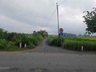 Đất mặt tiền 703 triệu 1900mv gò công tây tiền giang