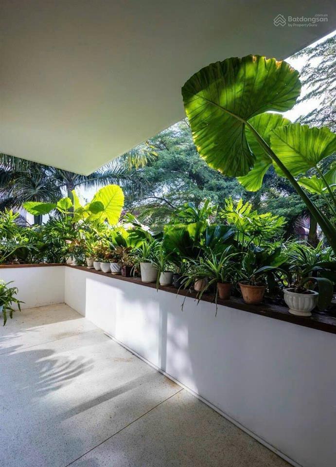 Cho thuê villa hồ bơi nguyễn văn hưởng, thảo điền