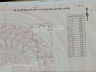 Vườn sầu riêng tại xã bàu chinh huyện châu đức cũ nay thuộc tphcm
