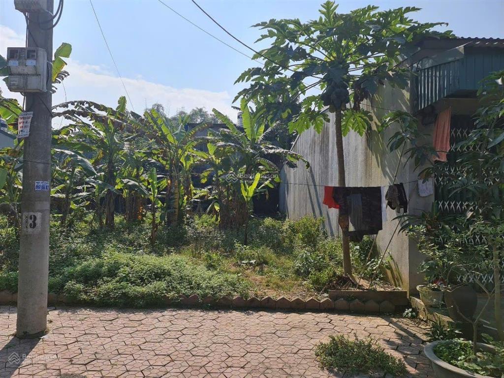 Bán đất full thổ cư thị trấn tằng loong, huyện bảo thắng, lào cai