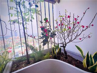 Bán chung cư 89 thịnh liệt tòa nhà hồng hà dt 63m 2pn, 2vs, khách,bếp logia full nội thất