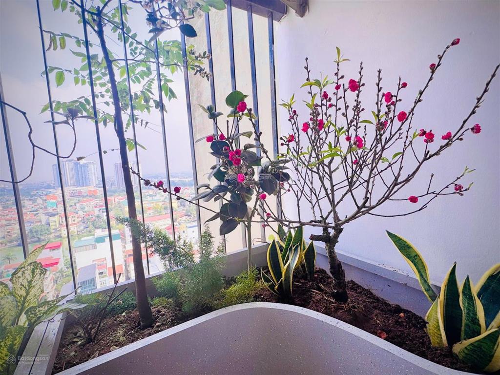 Bán căn hộ chung cư tòa a3 chung cư 151 nguyễn đức cảnh dt 70m 2pn,2va full.nội thất  098925003