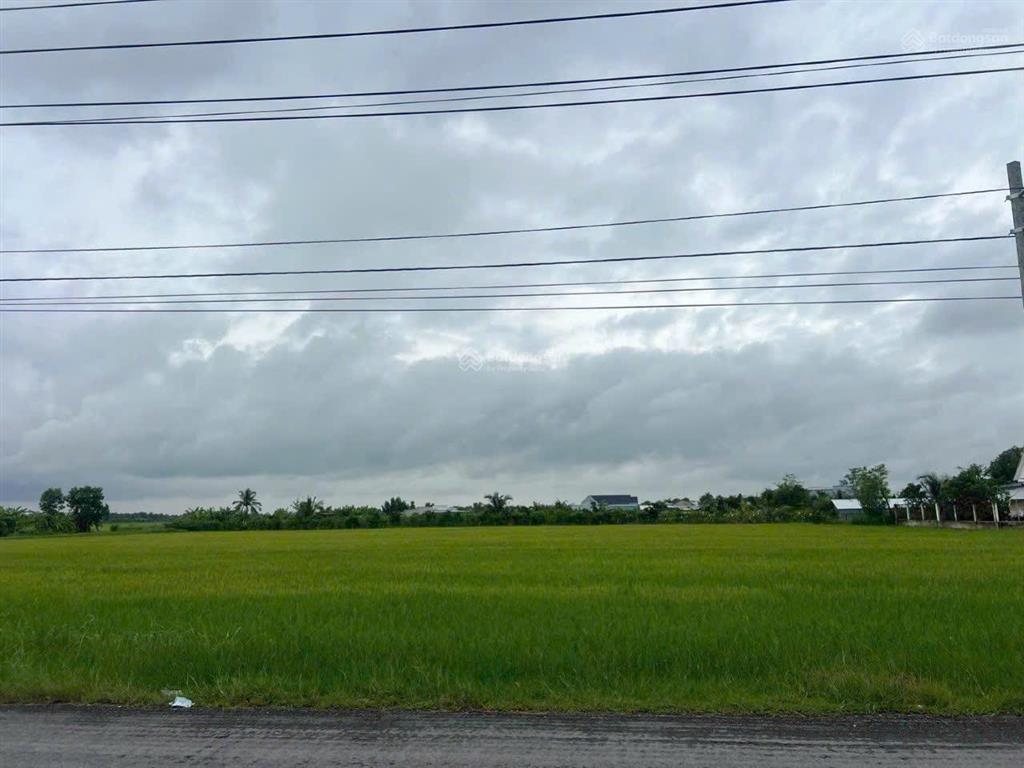 Bán 10000m2 đất mặt tiền tỉnh lộ 872b