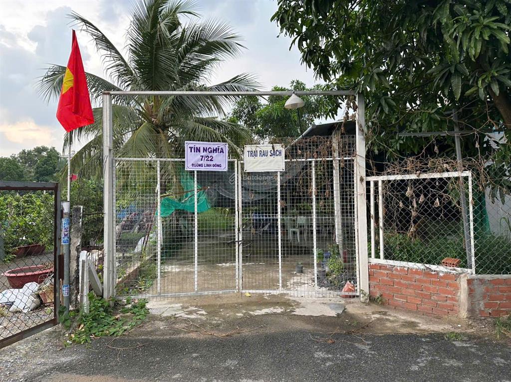 Đất quy hoạch treo nên giá rất rẻ 15tr/m2