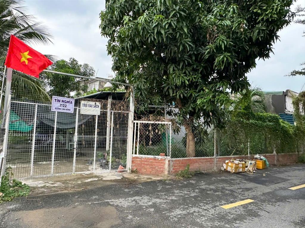 Đất quy hoạch treo nên giá rất rẻ 15tr/m2