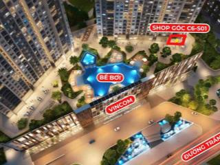 Cho Thuê Shophouse Vinhomes D Capital mặt tiền 8m,View trực diện sân vườn,bể bơi