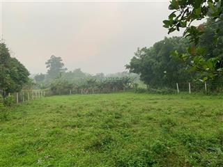 Chính chủ bán nhanh 1.100m² đất view đẹp tại ba vì làm homestay,second home