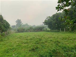 Cần bán nhanh 1.100m² đất view đẹp tại ba vì - làm homestay, second home -7 tỷ