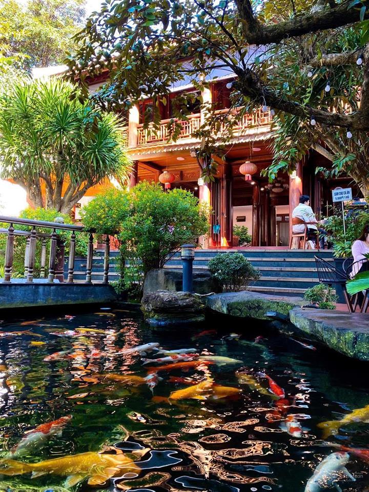 Chuyển nhượng nhà mặt phố suối hội phú pleiku:1250m2, sẵn hạ tầng cao cấp-60 tỷ