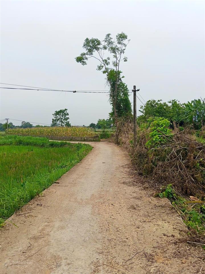 Bds giá rẻ phú bình thái nguyên cách ql37 1km