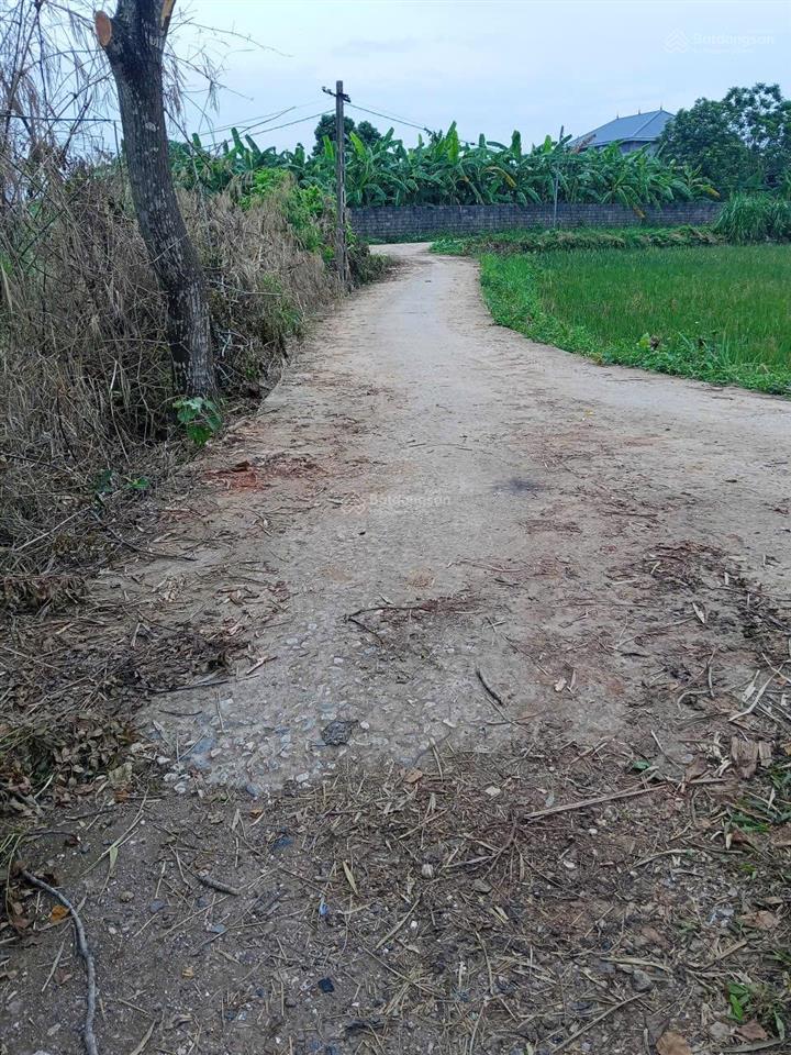 Bds giá rẻ phú bình thái nguyên cách ql37 1km