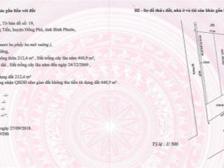 Thông báo đấu giá 02 tài sản msbđồng phúbình phước