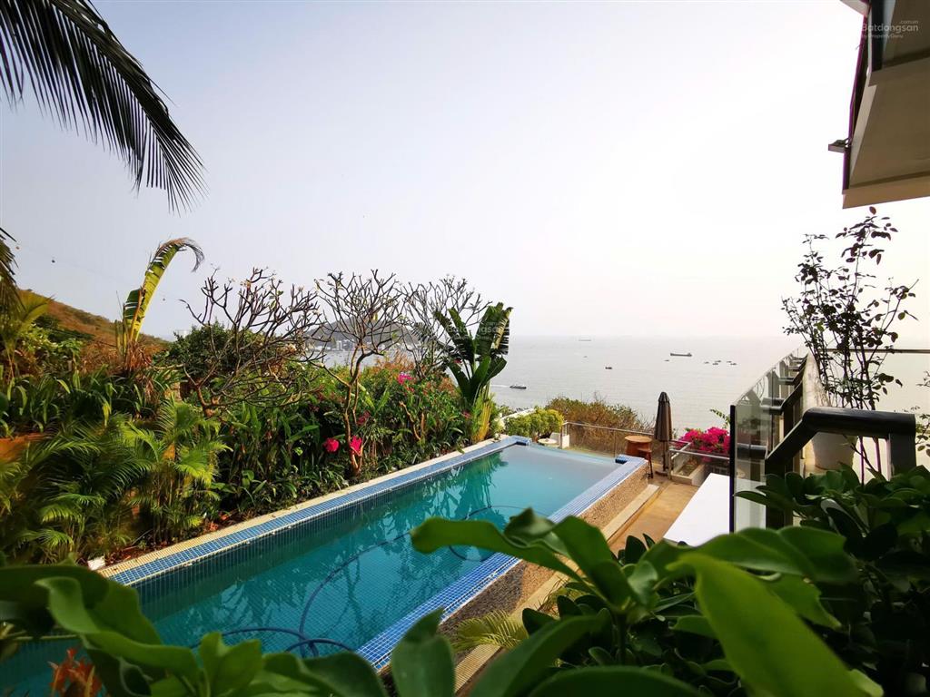 Mansion hiếm có vũng tàu  thành phố hồ chí minh