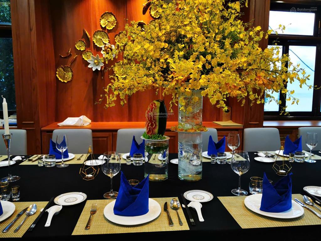 Mansion hiếm có vũng tàu  thành phố hồ chí minh