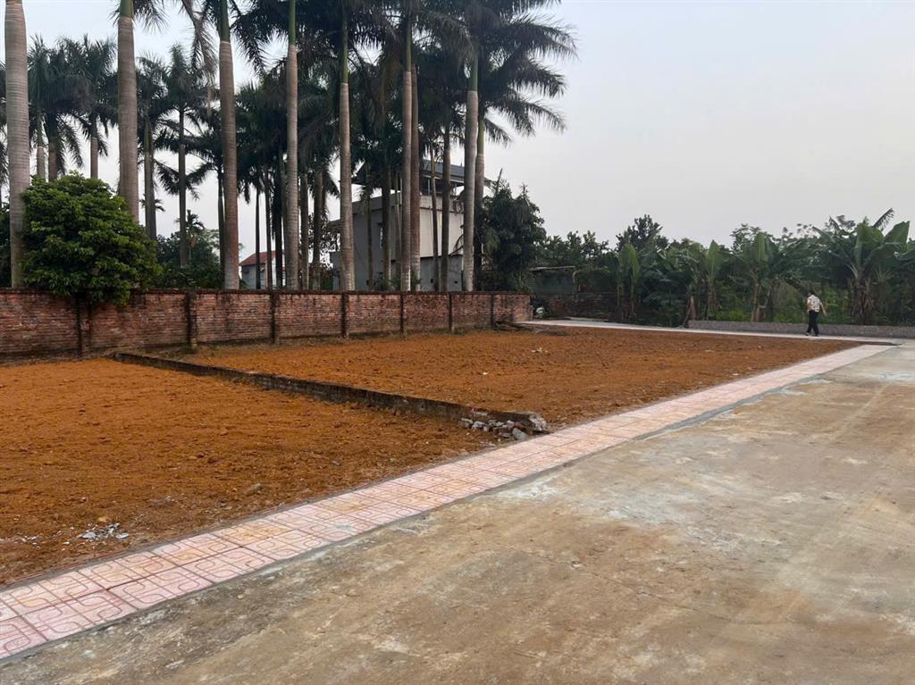 SĂN ĐẤT HÒA LẠC – 100M² NỞ HẬU, SÁT TRỤC DH09 PHÚ CÁT!