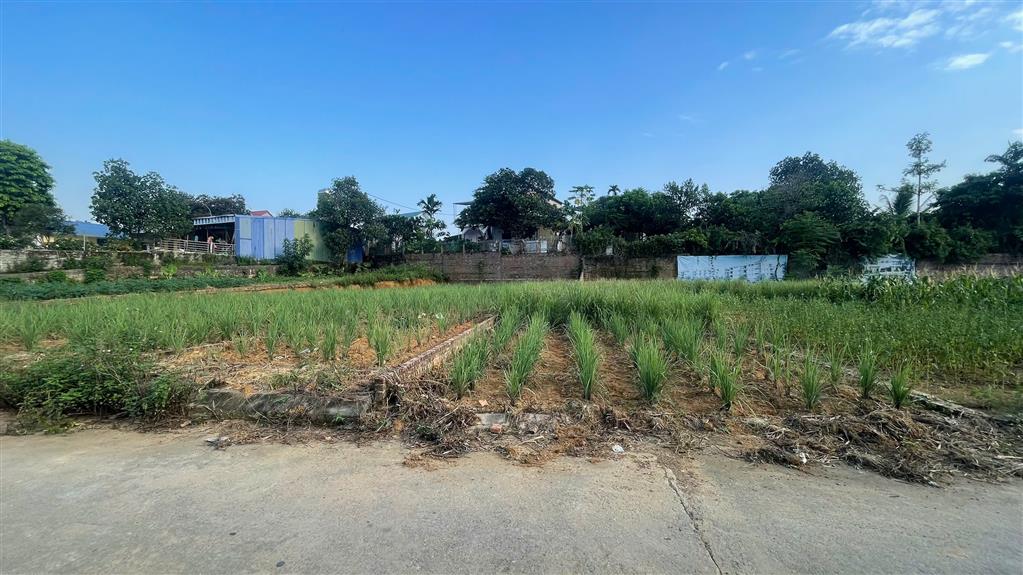 BÁN ĐẤT LÕI TRUNG TÂM PHÚ CÁT – 108,1M² FULL THỔ CƯ – SẴN SỔ