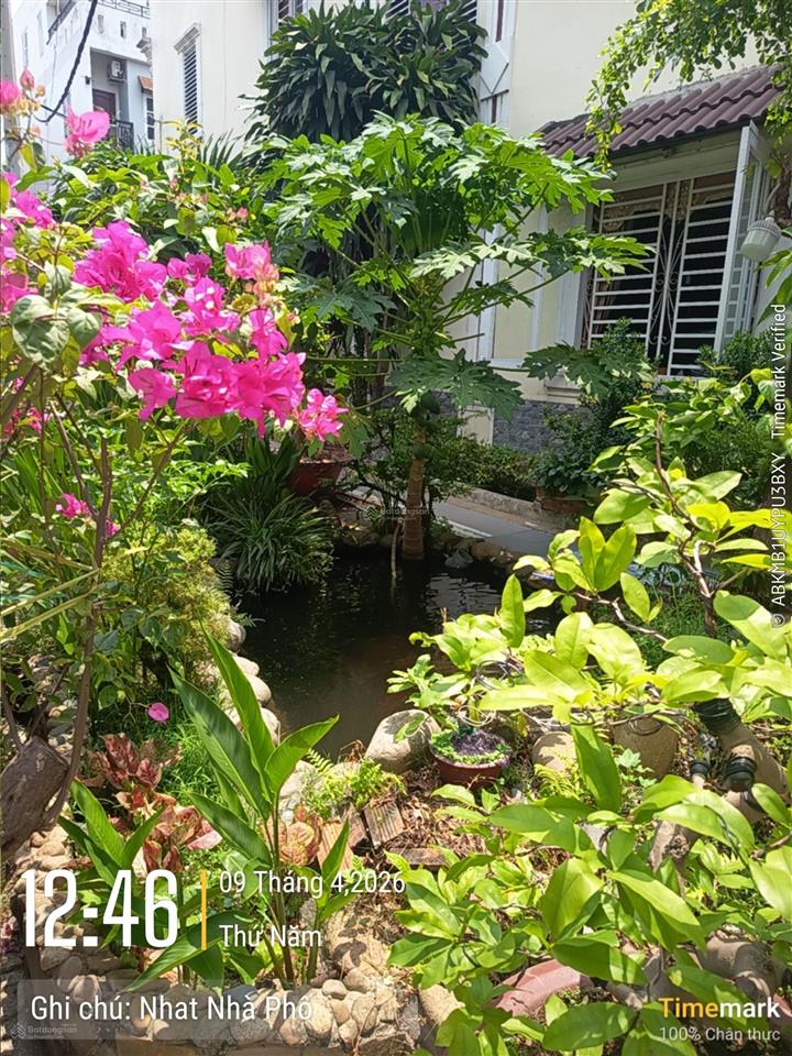 Bán gấp nhà đẹp kdc talimex, tô ký, hóc môn, 5x25 cn 123m2, trệt 2 lầu, 8,8 tỷ tl