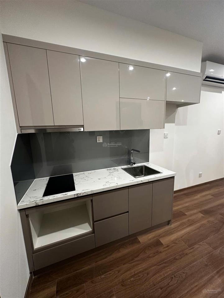 Chủ gửi bán căn góc 3pn hơn 100m2, có dòng tiền ngay tại pavilion vinhomes ocean park 1, sổ sẵn