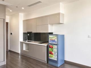Hot! studio r1.02 chỉ 69tr/m2 tại phân khu ruby cao cấp tại vinhomes ocean park