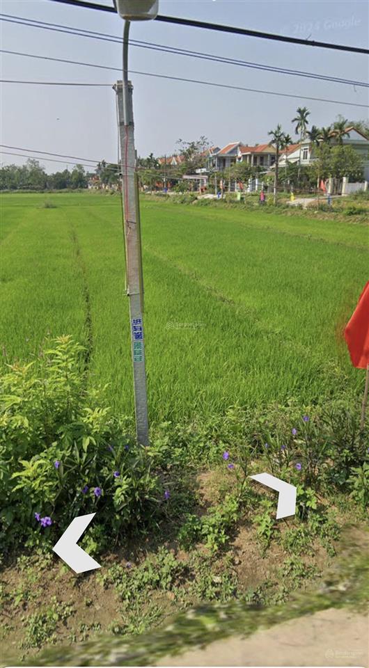 Nhà mới xây xong 395m2 view lúa trực diện, cách phố cổ hội an 10 phút