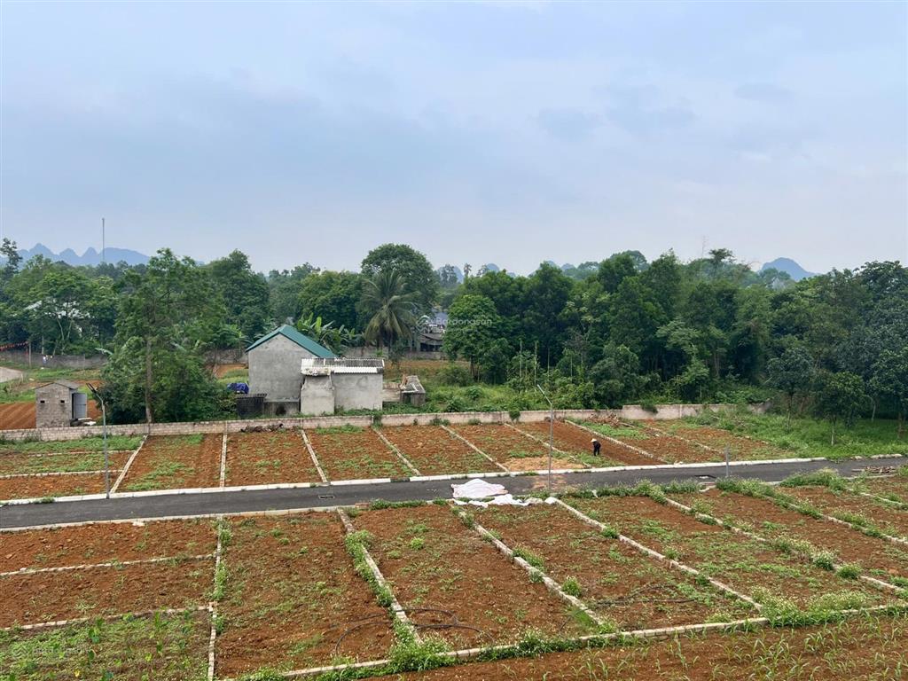 Cần bán đất từ 100 500m2 tại thôn hợp thung, xã thanh sơn, huyện lương sơn