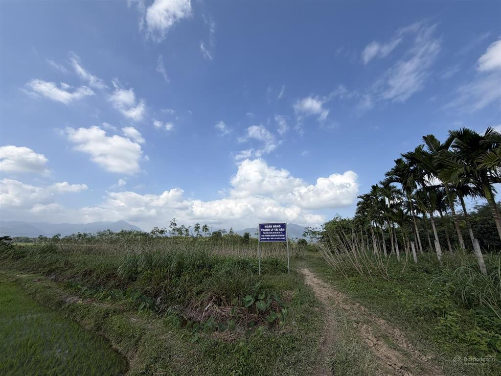 Ngân hàng thanh lý gần 5.500m2 đất