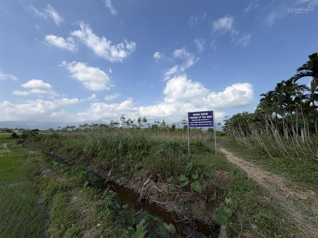Ngân hàng thanh lý gần 5.500m2 đất