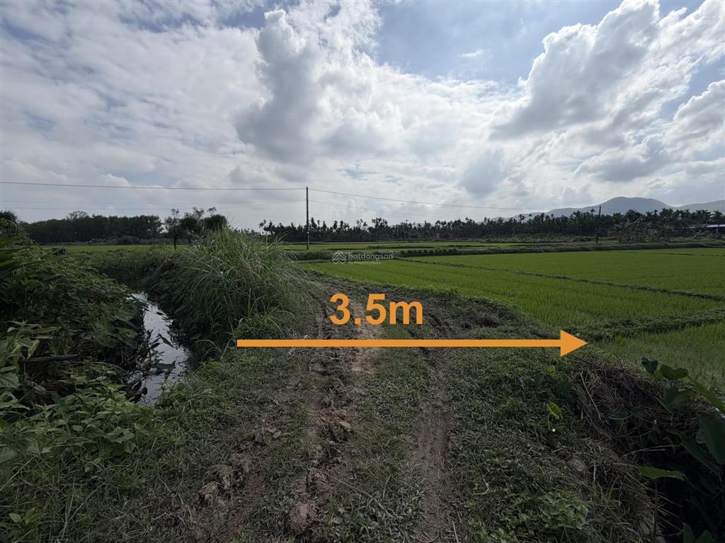Ngân hàng thanh lý gần 5.500m2 đất