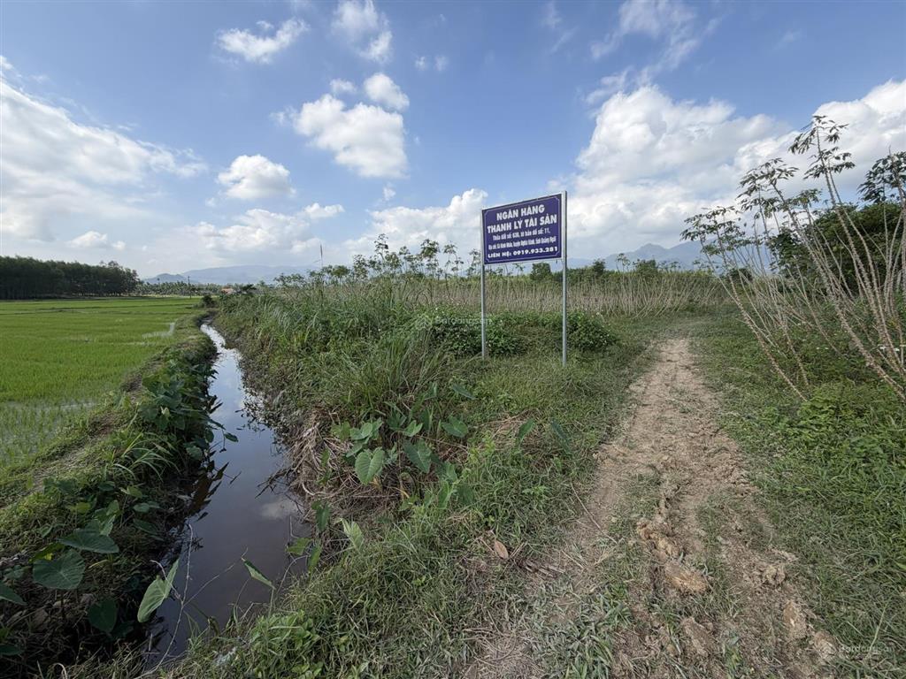 Ngân hàng thanh lý gần 5.500m2 đất