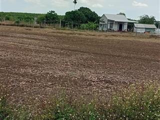 Nhà đất giá rẻ mua sinh lời cao. xã sông ray cực đẹp đường xe hơi.