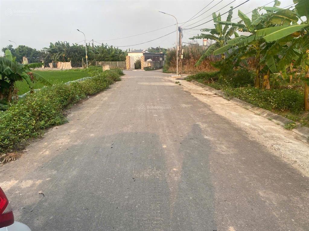 Bán đất tại quang hưng, an lão, hải phòng, 1,05 tỷ, 62m2 đẹp, đường nhựa thôn 6m