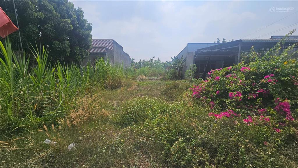 Cần tiền kinh doanh bán nhanh 252m2 mặt tiền bàu công ngay vin hậu nghĩa  giá 3 tỷ 5