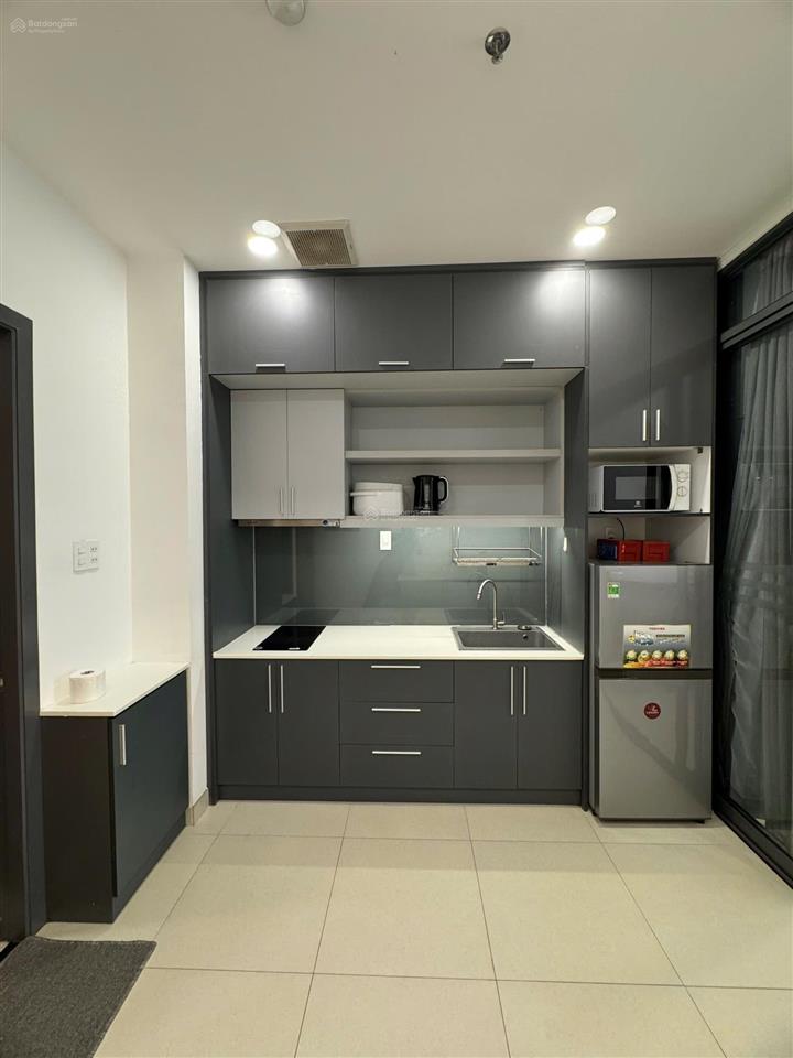 Cho thuê cc mini ban công full nội thất, rộng rãi tại số 79, tân quy, q7, tp.hcm, hàng hiếm uy tín