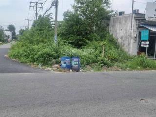 180m2 thổ cư trần tử bình, tân thông hội. góc 2 mặt tiền đường. 650tr