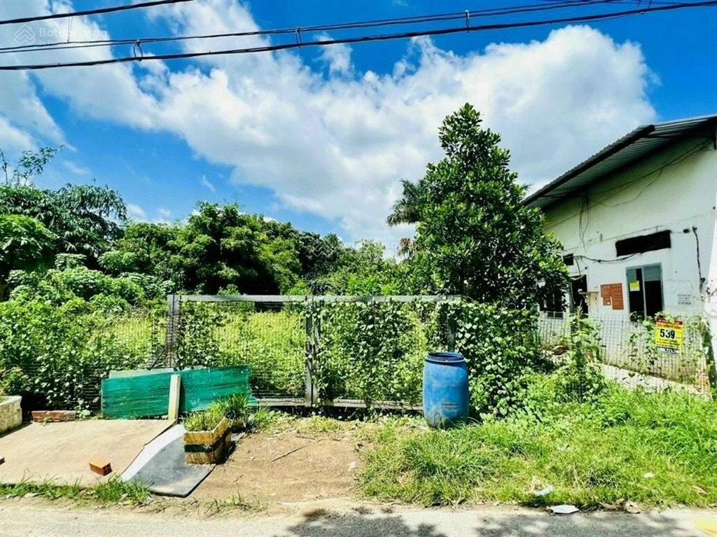 Đất thổ cư an hòa  trảng bàng 234m2 vị trí đẹp, giá đầu tư