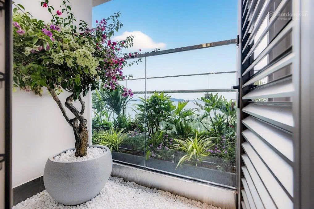 Căn hộ khoáng nóng osen đầu tiên và duy nhất tại hạ long  sun festo town