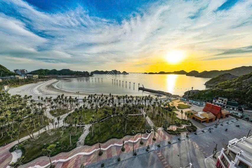 Chỉ từ 600 triệu sở hữu căn hộ biển cao cấp view biển 360 tại cát bà | dòng tiền cho thuê 25tr30tr